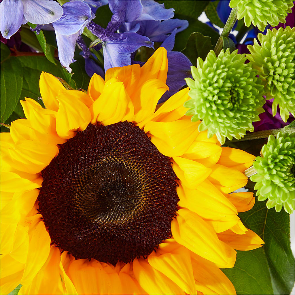 Catching Rays Bouquet – MOSS & CO, Watkinsville GA