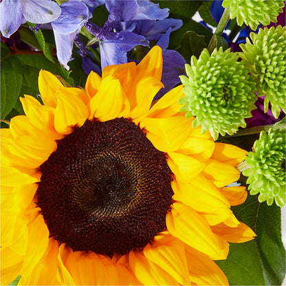 Catching Rays Bouquet – MOSS & CO, Watkinsville GA
