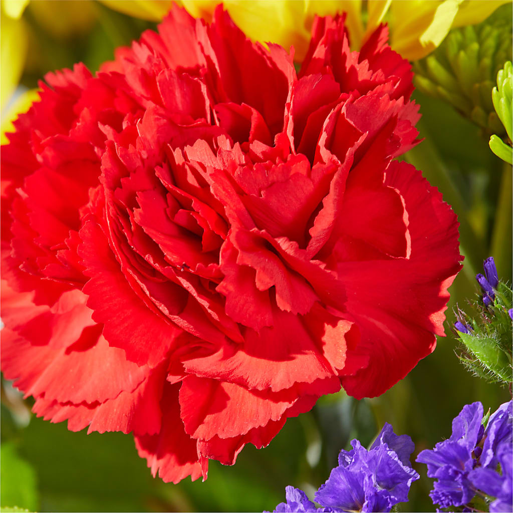Brighter Days Bouquet – MOSS & CO, Watkinsville GA