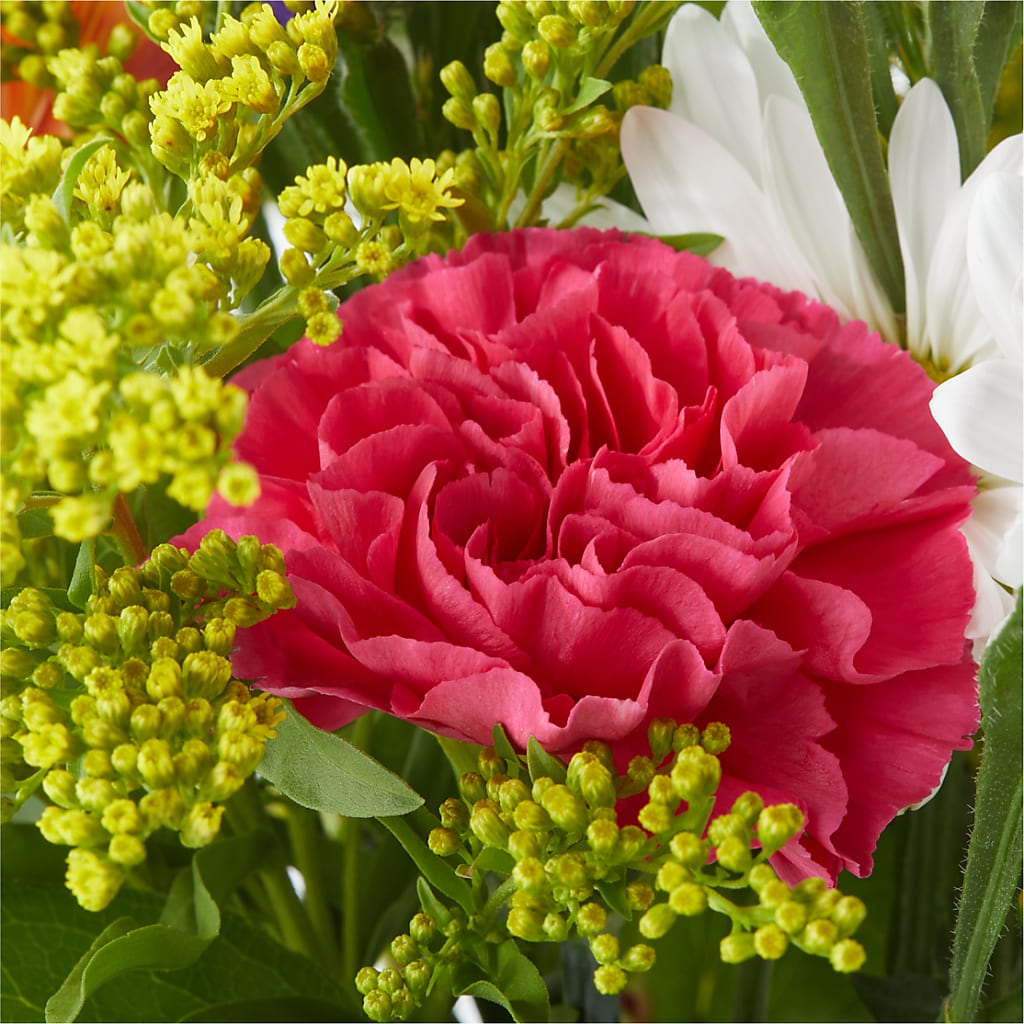 Oopsie Daisy Bouquet – MOSS & CO, Watkinsville GA