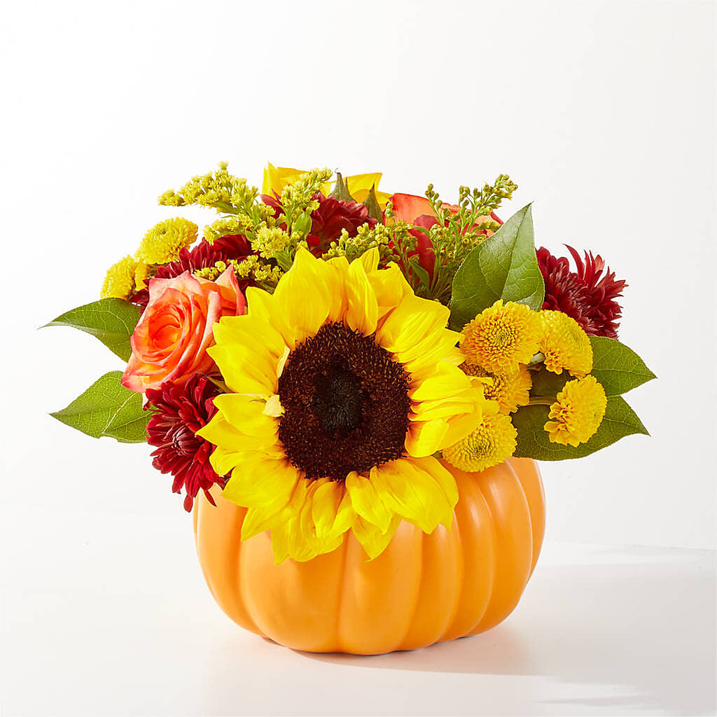 Golden Gourd Pumpkin Bouquet – MOSS & CO, Watkinsville GA