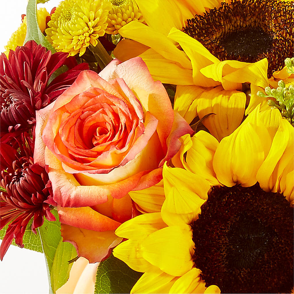 Golden Gourd Pumpkin Bouquet – MOSS & CO, Watkinsville GA