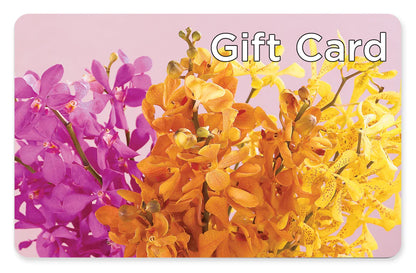 Gift Card – MOSS & CO, Watkinsville GA