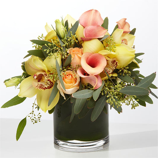 The Visionary – MOSS & CO, Watkinsville GA