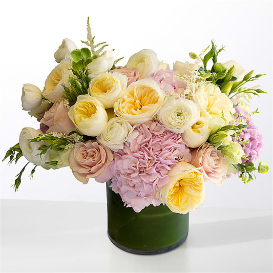 The Melody – MOSS & CO, Watkinsville GA