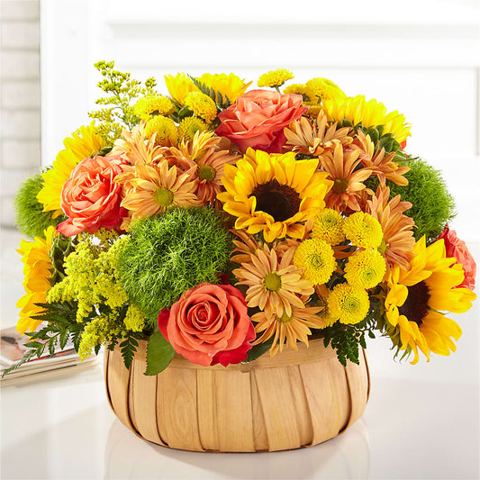 Harvest Sunflower Basket – MOSS & CO, Watkinsville GA