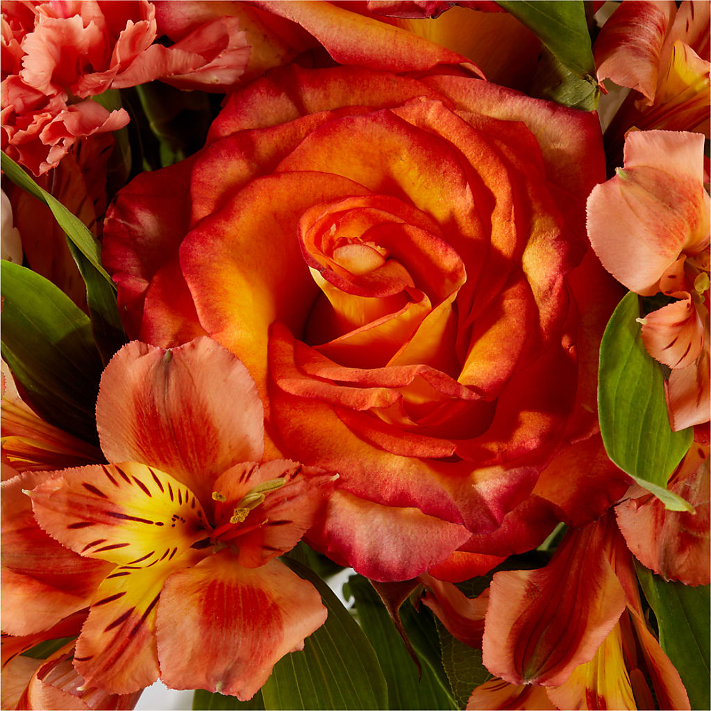 Apricot Glow Bouquet – MOSS & CO, Watkinsville GA