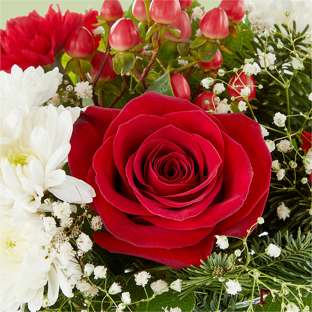 Chance of Flurries Bouquet – MOSS & CO, Watkinsville GA