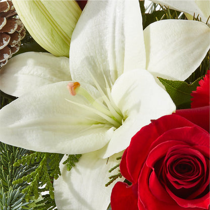 Oh So Jolly Bouquet – MOSS & CO, Watkinsville GA