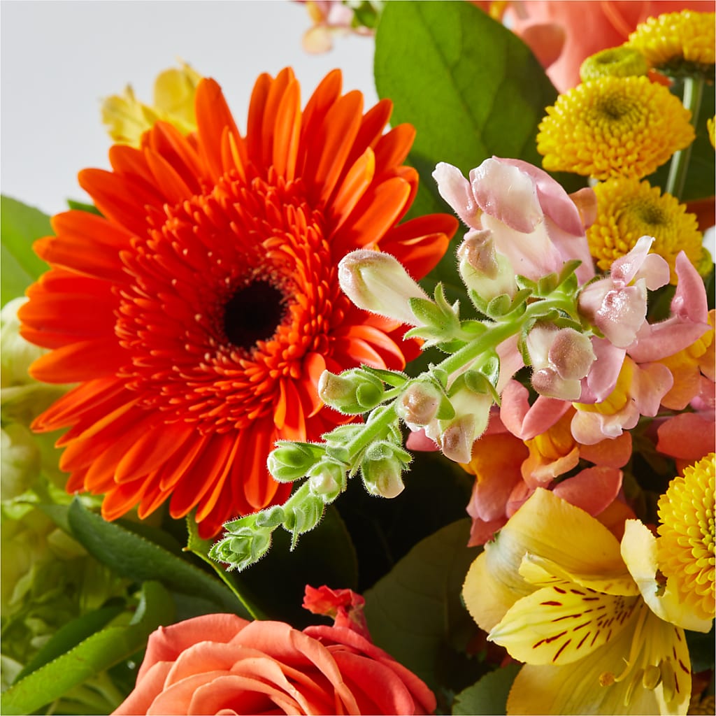 Autumn Sunshine Bouquet – MOSS & CO, Watkinsville GA