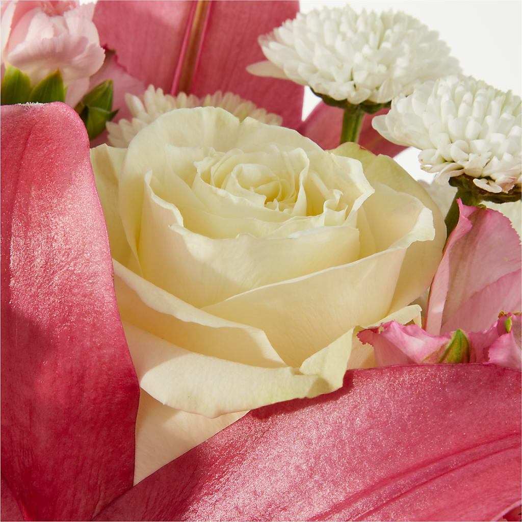 Piece of Cake Bouquet – MOSS & CO, Watkinsville GA