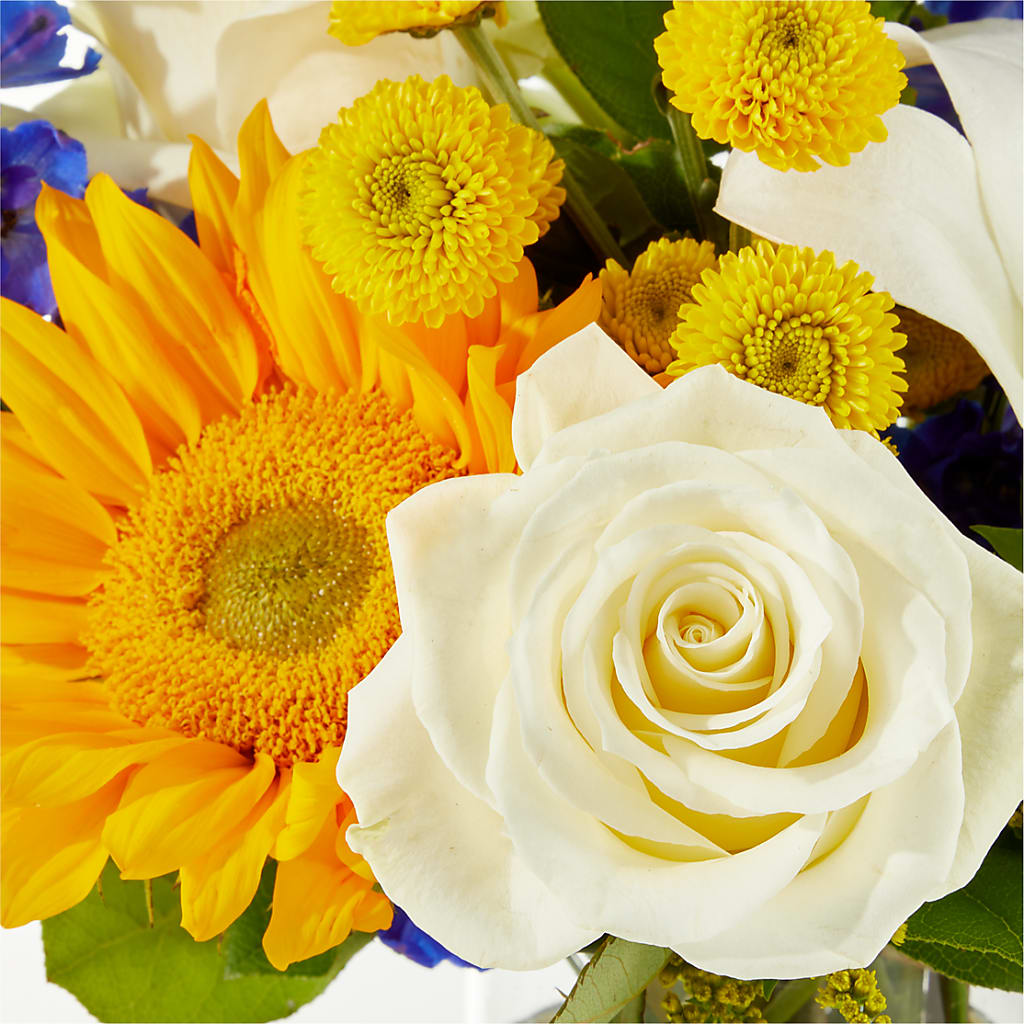 Stargazing Bouquet – MOSS & CO, Watkinsville GA