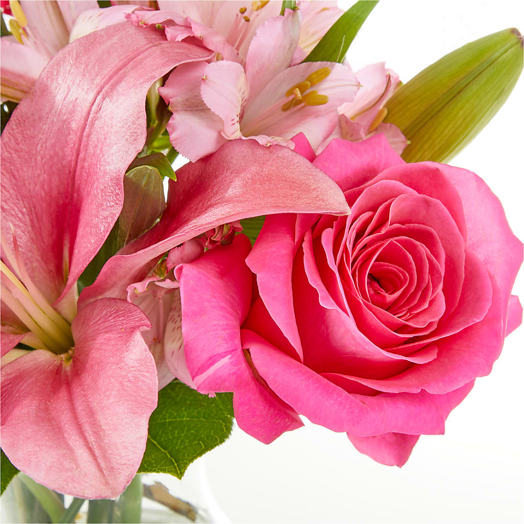 Lots of Love Bouquet – MOSS & CO, Watkinsville GA