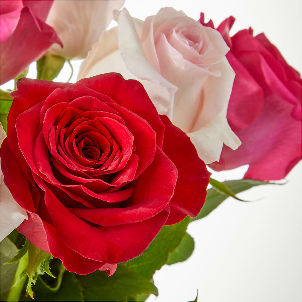 Charming Rose Bouquet – MOSS & CO, Watkinsville GA