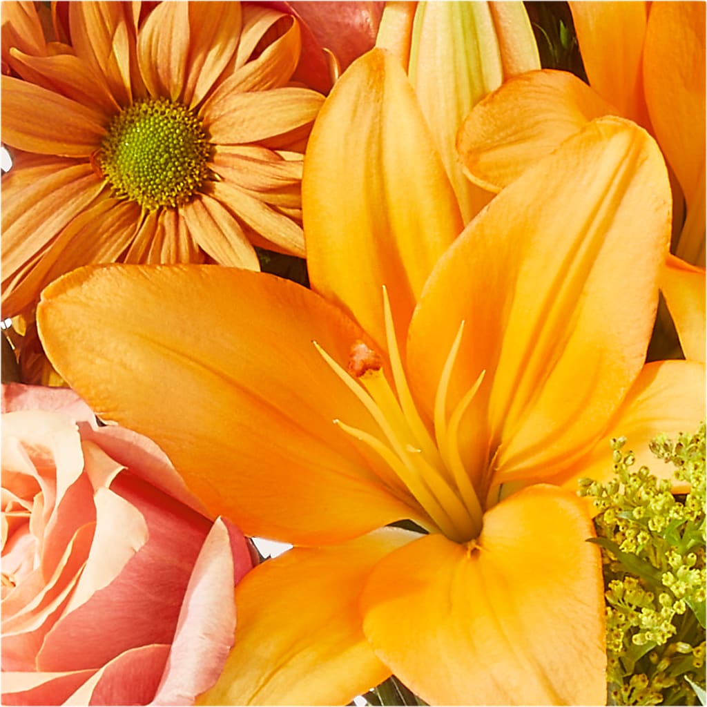 Harvest Hayride Bouquet – MOSS & CO, Watkinsville GA
