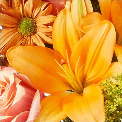 Harvest Hayride Bouquet – MOSS & CO, Watkinsville GA