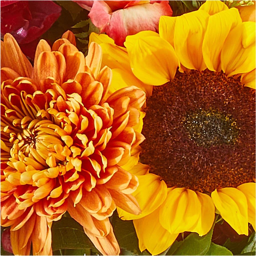 Seasons Change Bouquet – MOSS & CO, Watkinsville GA