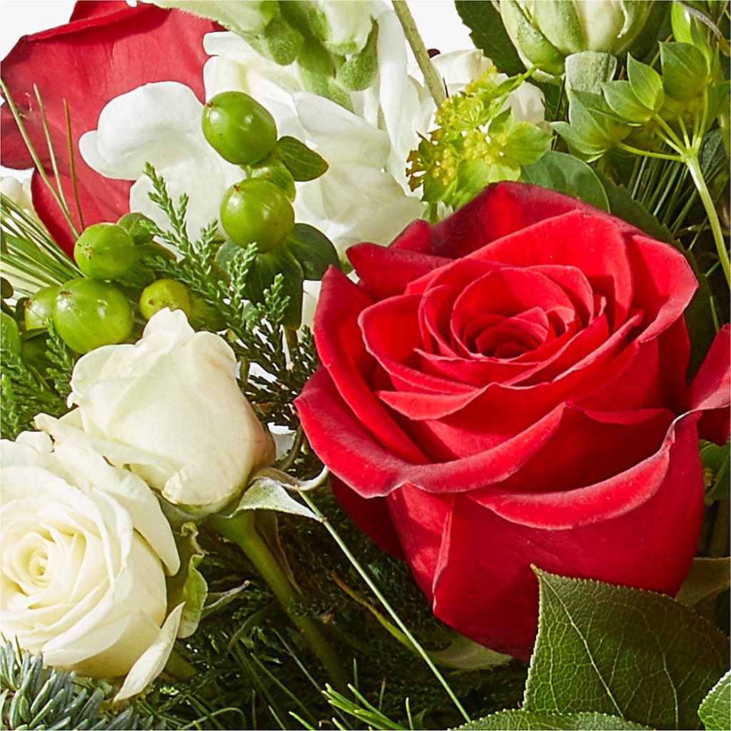 Deck the Halls Bouquet – MOSS & CO, Watkinsville GA