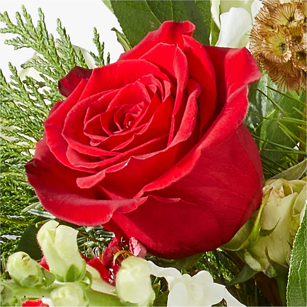 Deck the Halls Bouquet – MOSS & CO, Watkinsville GA