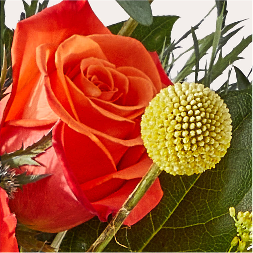 Disco Bouquet – MOSS & CO, Watkinsville GA