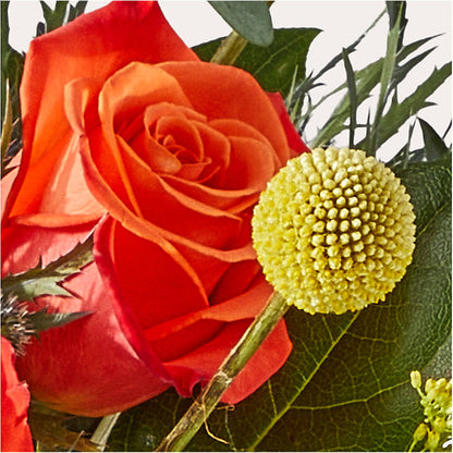 Disco Bouquet – MOSS & CO, Watkinsville GA
