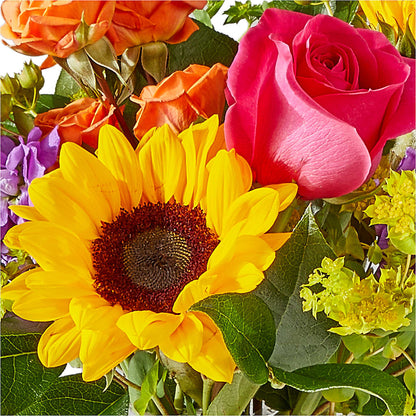 Vibrant Greetings Bouquet – MOSS & CO, Watkinsville GA