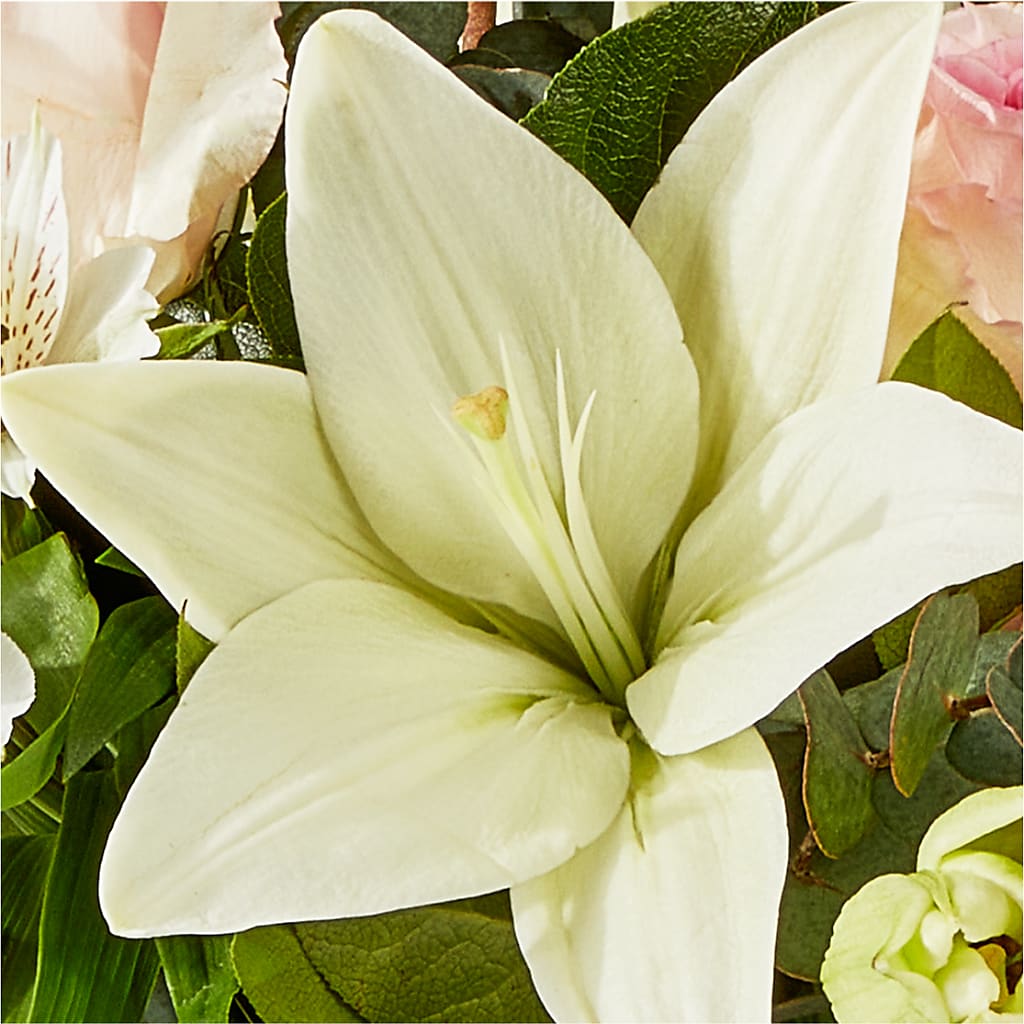 Ballet Slippers Bouquet – MOSS & CO, Watkinsville GA