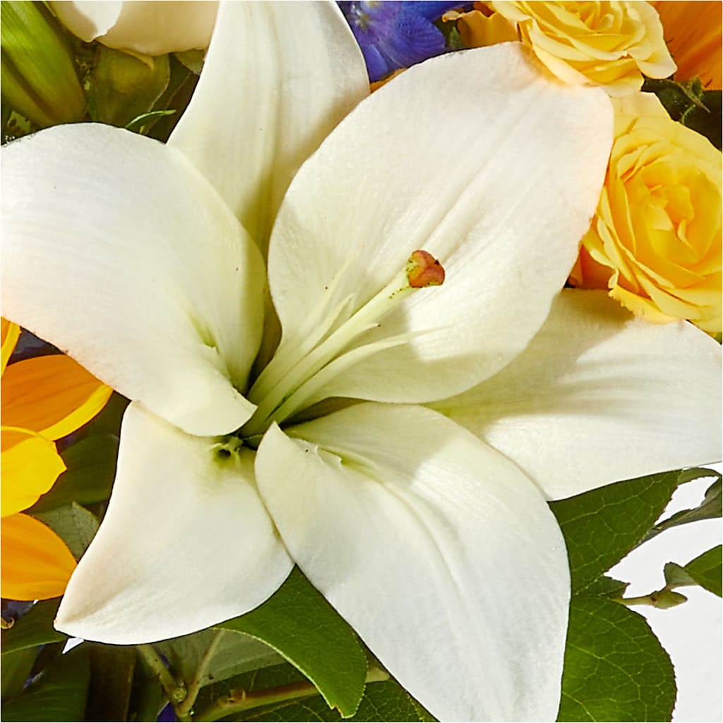 Wonderfully Sunny Bouquet – MOSS & CO, Watkinsville GA