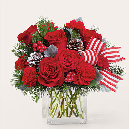 Baking Spirits Bright Bouquet – MOSS & CO, Watkinsville GA