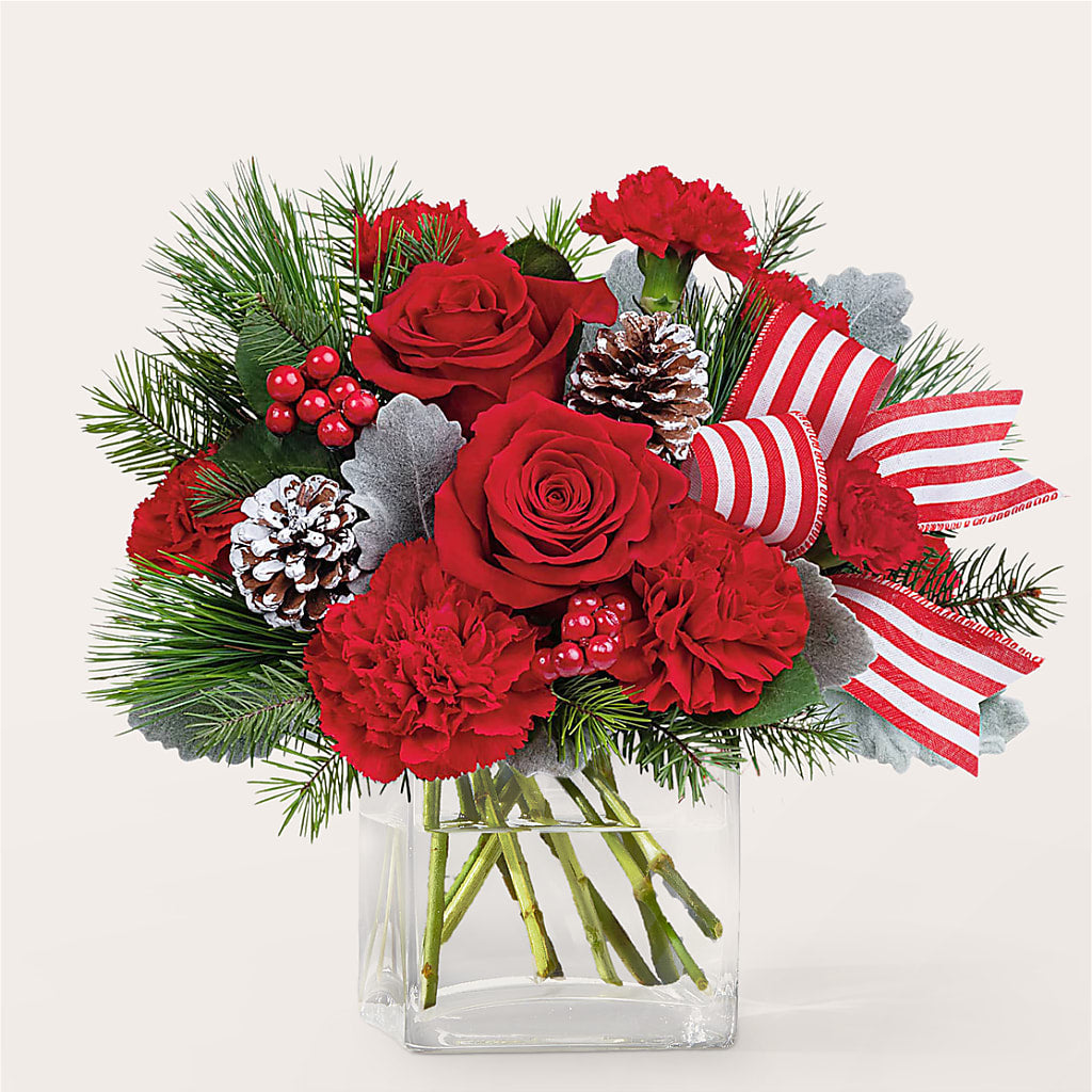 Baking Spirits Bright Bouquet – MOSS & CO, Watkinsville GA