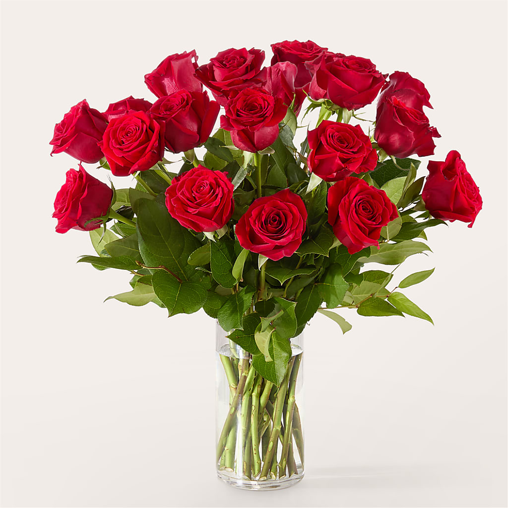 The One Red Rose Bouquet – MOSS & CO, Watkinsville GA