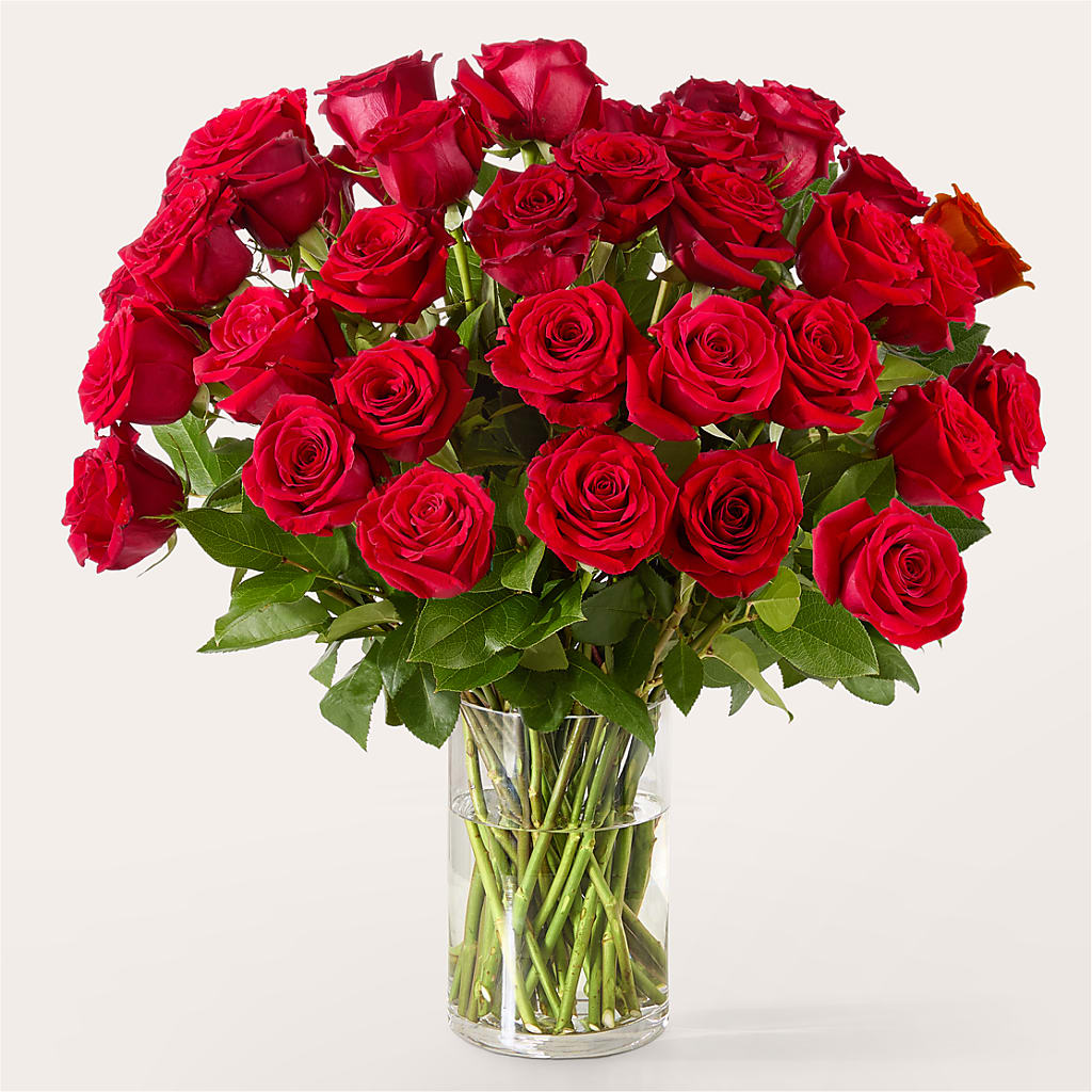 The One Red Rose Bouquet – MOSS & CO, Watkinsville GA