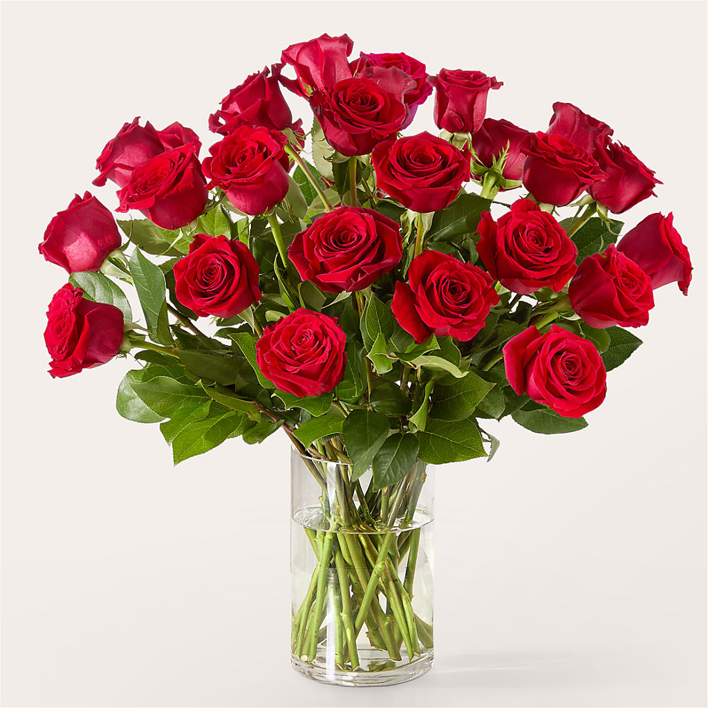 The One Red Rose Bouquet – MOSS & CO, Watkinsville GA