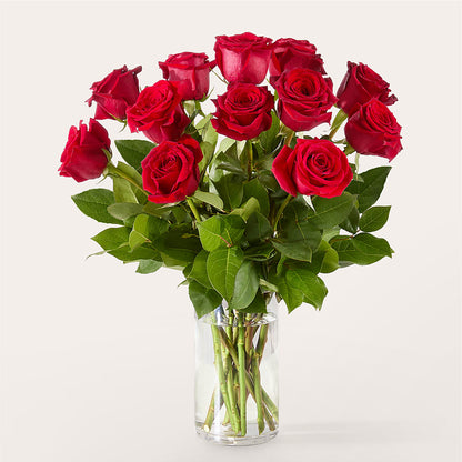 The One Red Rose Bouquet – MOSS & CO, Watkinsville GA