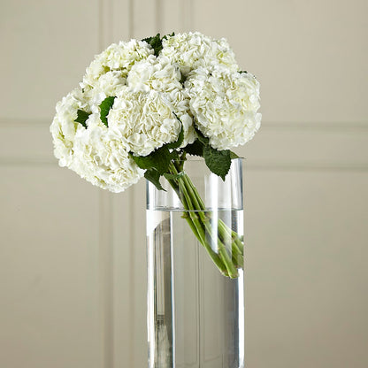 White Hydrangea Hand-Tied Bouquet – MOSS & CO, Watkinsville GA