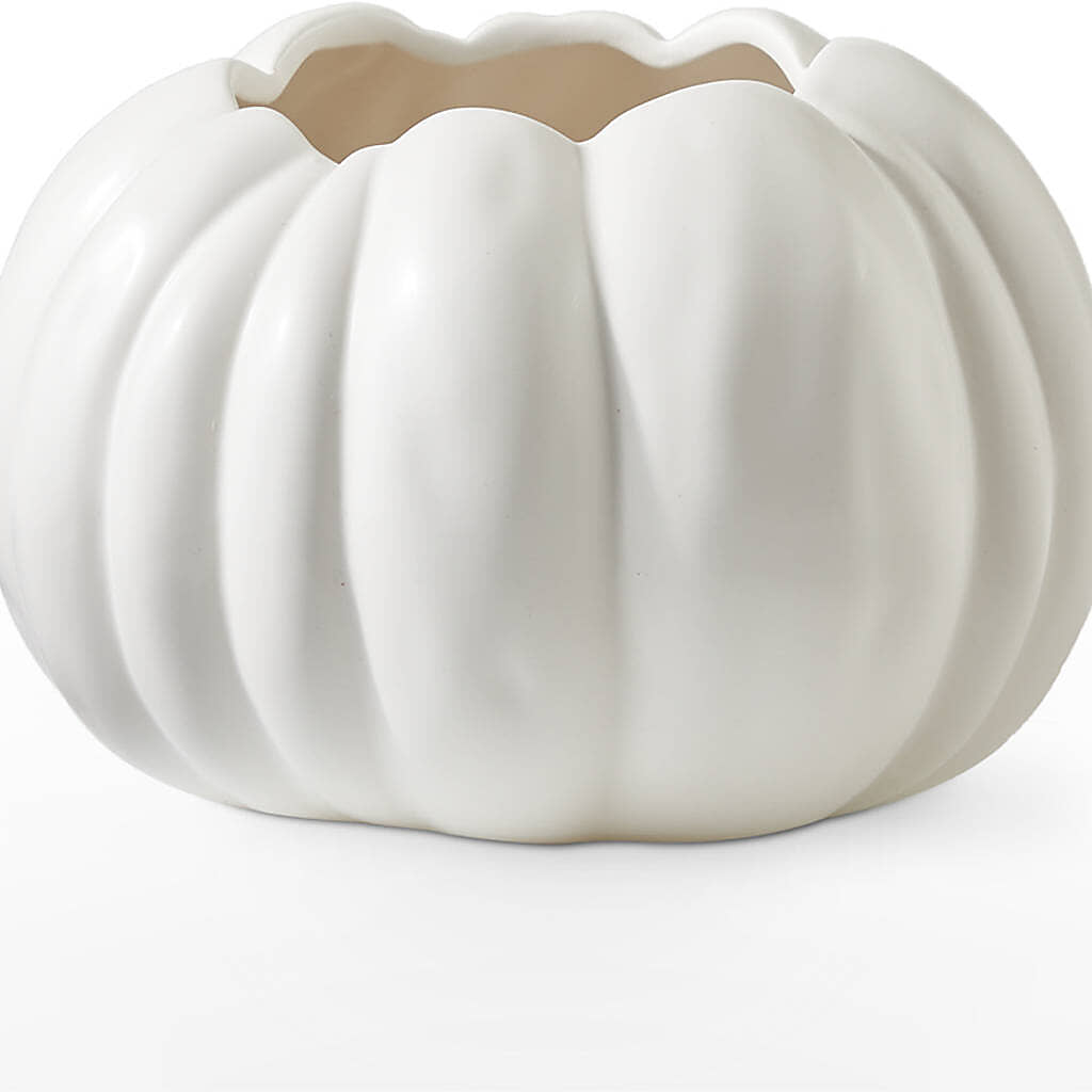 Autumn Air Pumpkin Bouquet – MOSS & CO, Watkinsville GA